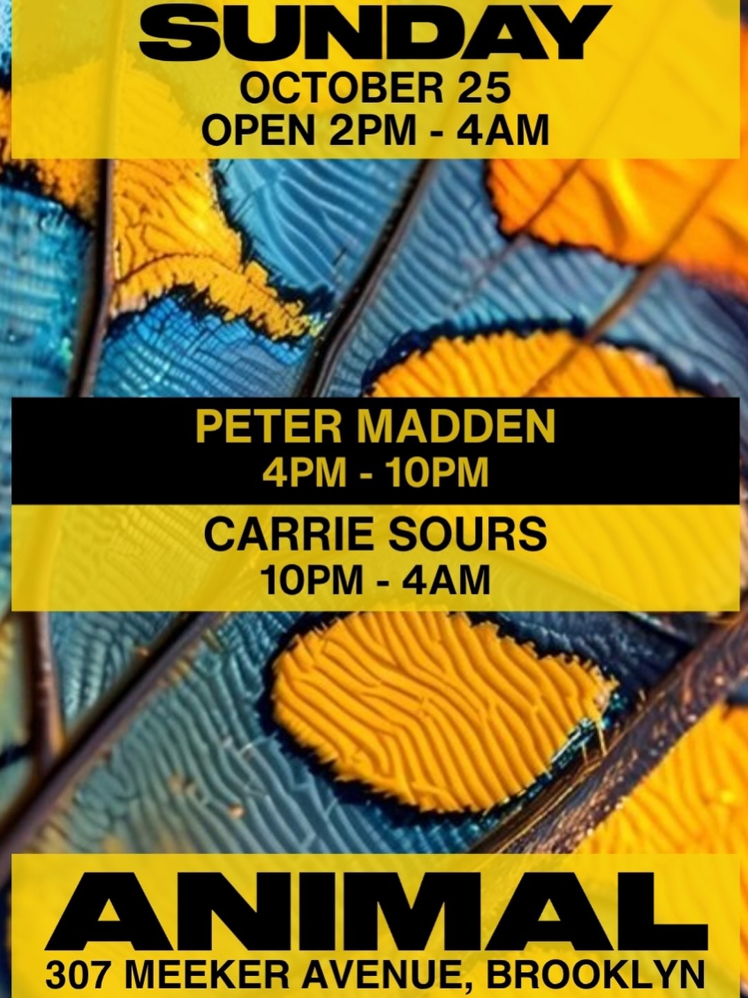 ANIMAL Sunday w/ Peter Madden, Carrie Sours