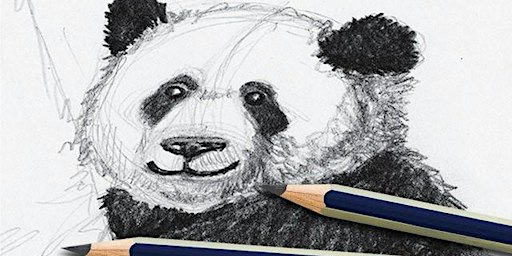 DRAWING ANIMALS Workshop for KIDS