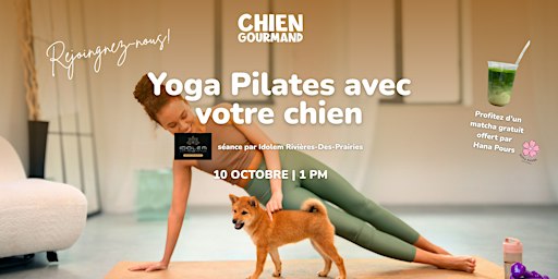 Yoga Pilates Dog Montreal by Chien Gourmand