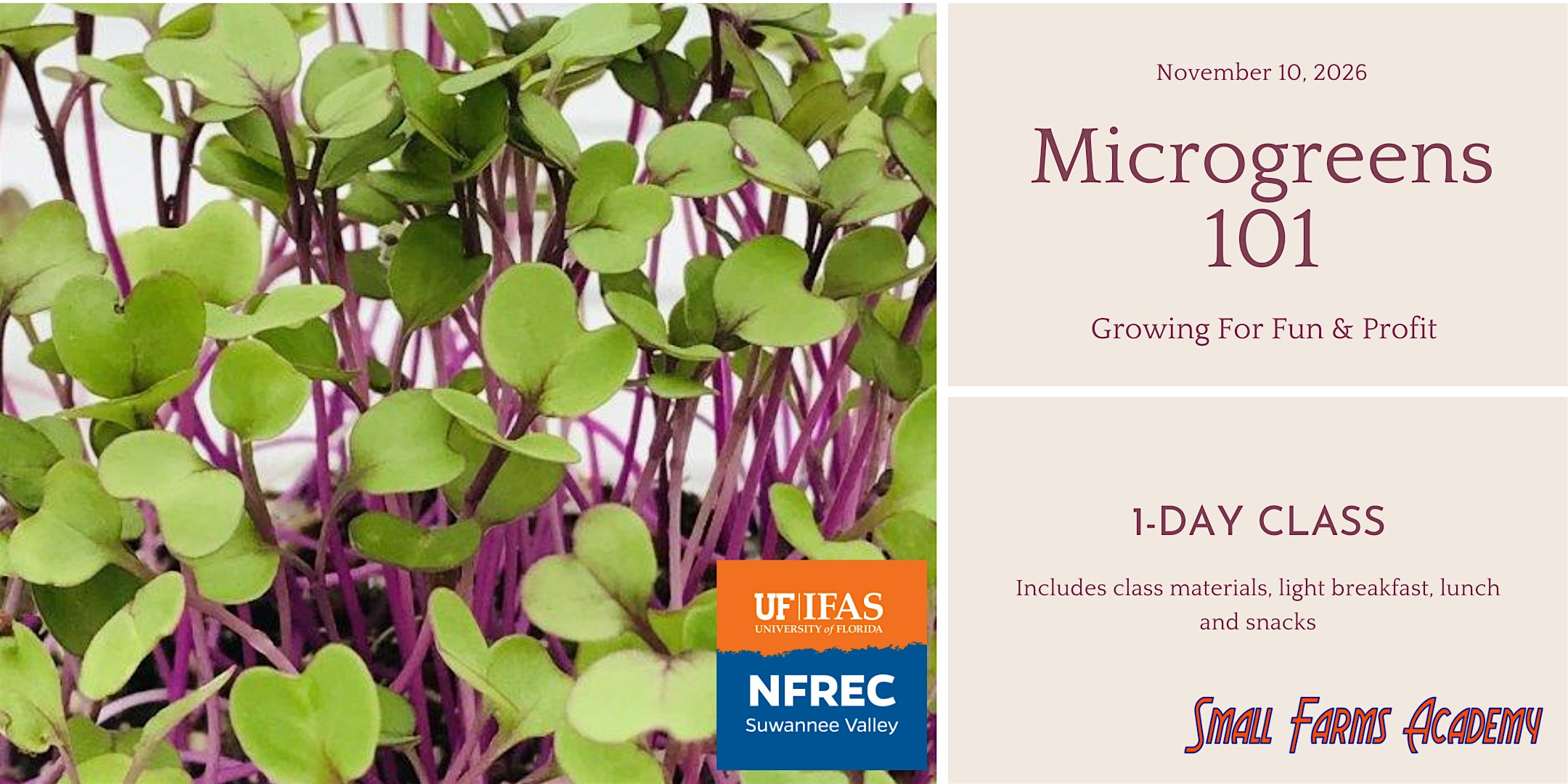 Microgreens 101: Growing for Fun and Profit