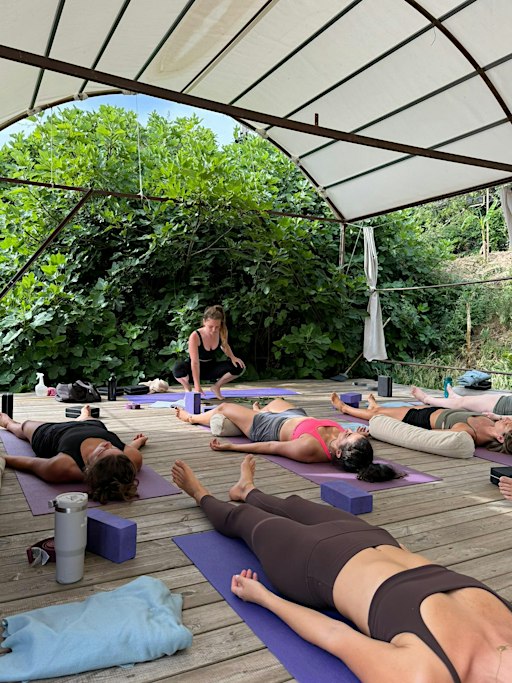 Vinyasa Yoga Flow