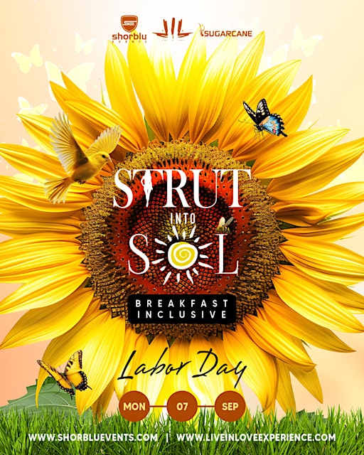 STRUT into SOL