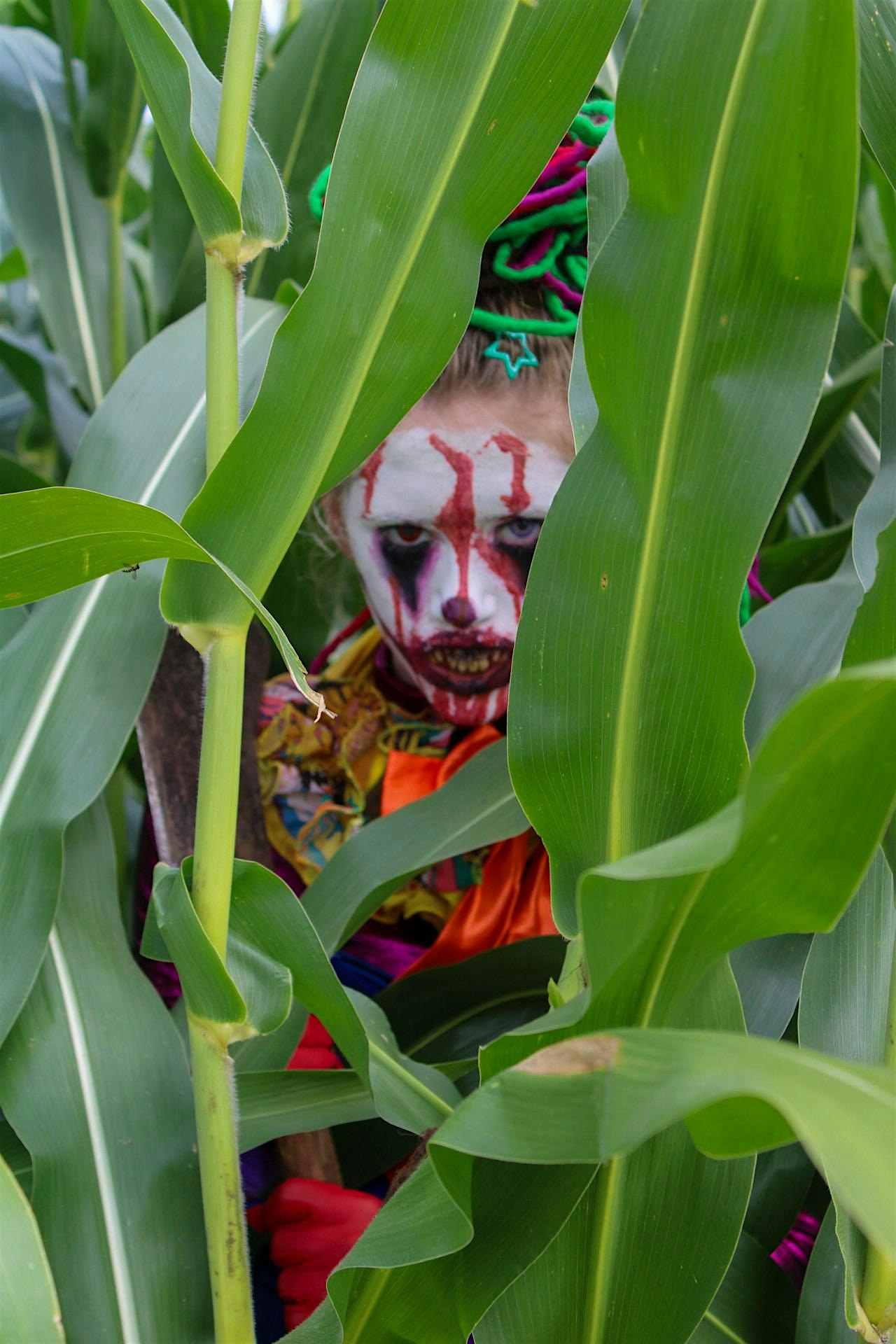 Terror In The Woods