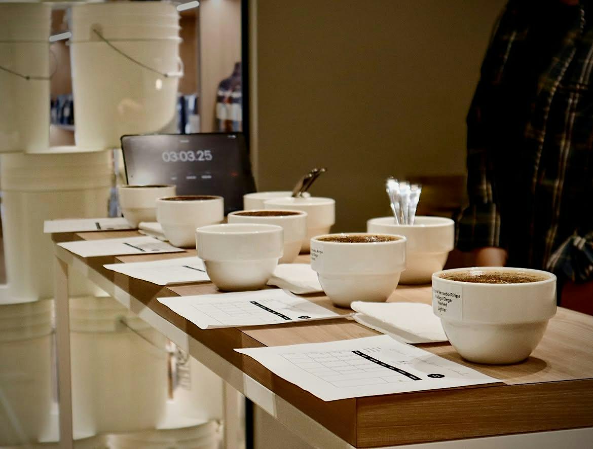 Introduction to Coffee & Cupping