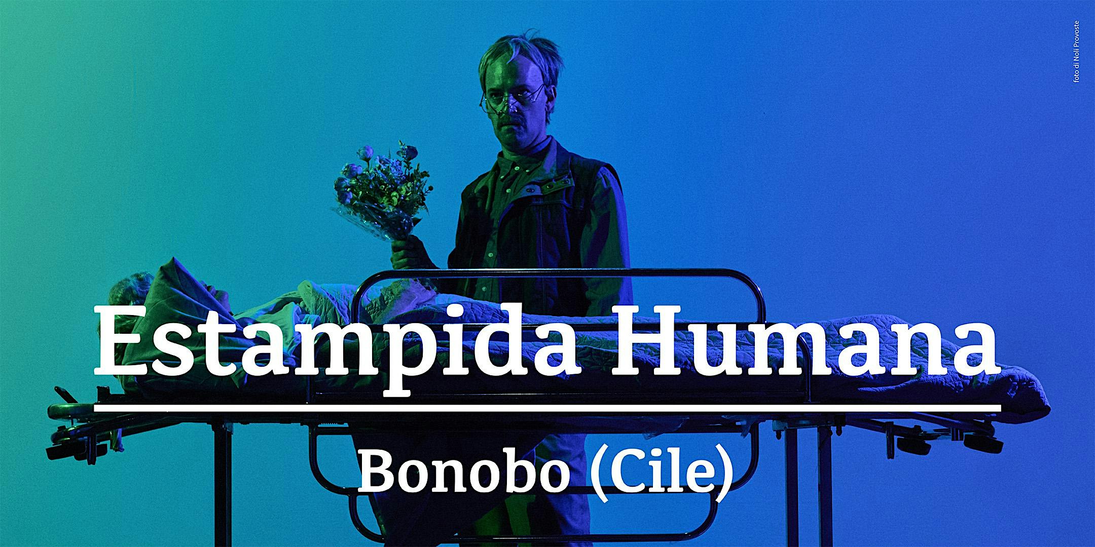 ESTAMPIDA HUMANA