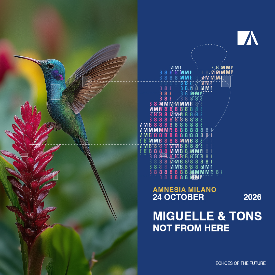 Miguelle & TONS, NOT FROM HERE