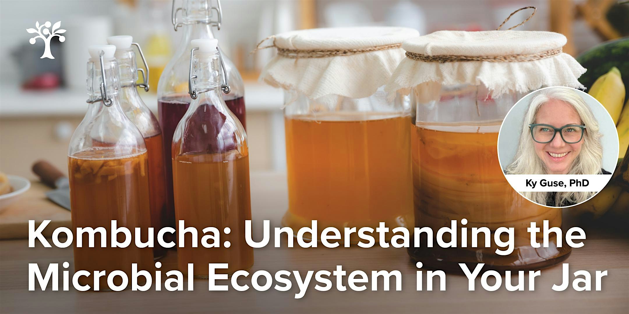 Kombucha: Understanding the Microbial Ecosystem in Your Jar