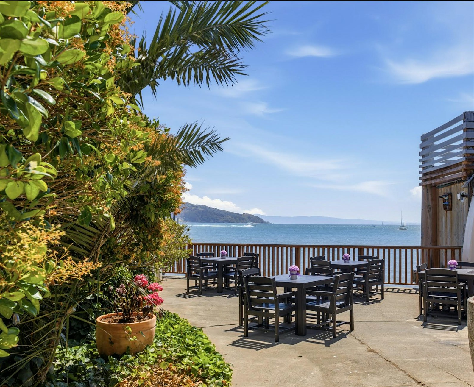 Sip, Shop, Shuffle at Silver Sparrow, (Sausalito)