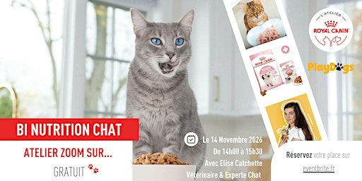 ZOOM SUR... BI-NUTRITION CHAT