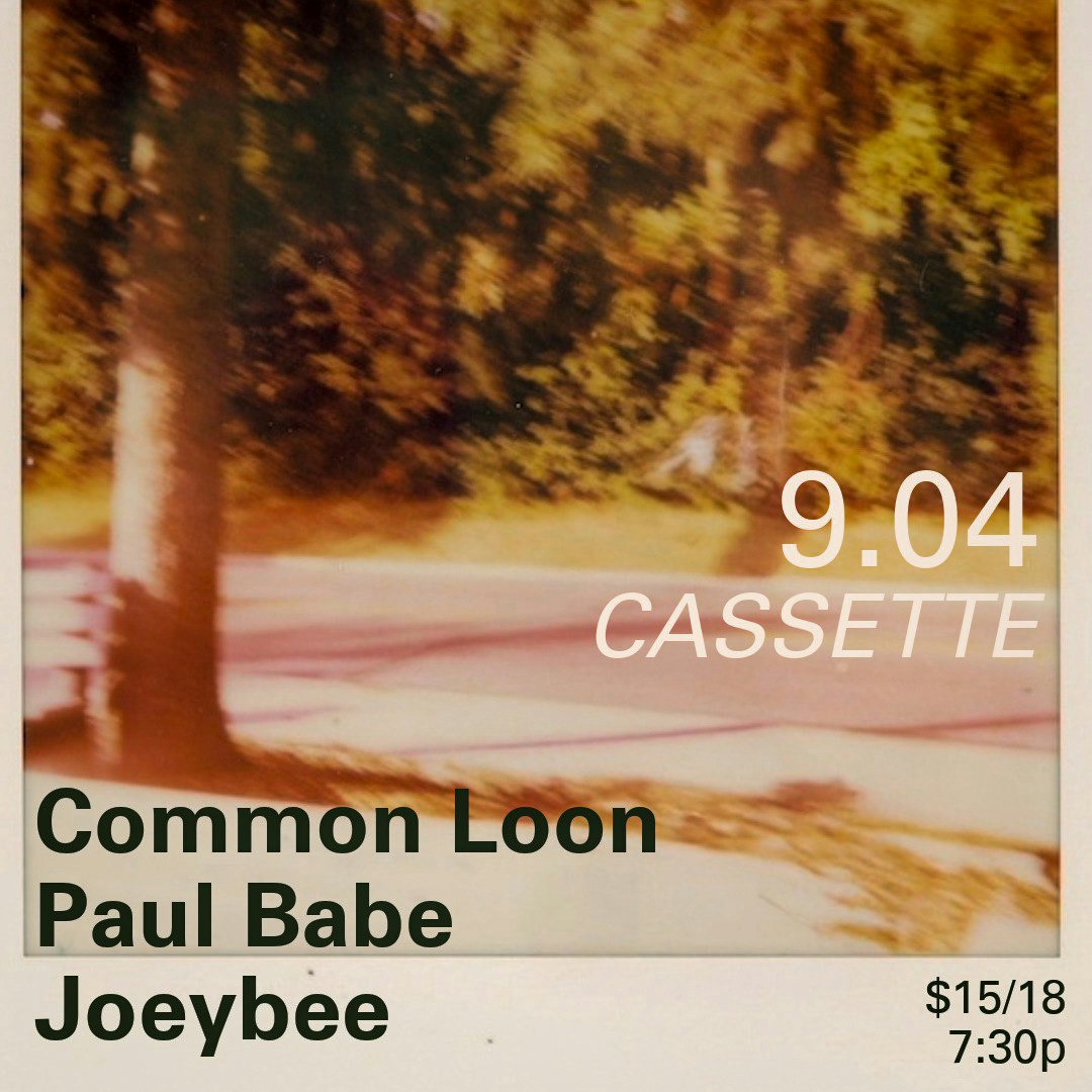COMMON LOON, PAUL BABE, JOEYBEE