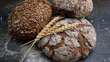 Celebrando la diversidad cultural