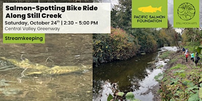 Salmon-Spotting Bike Ride Along Still Creek