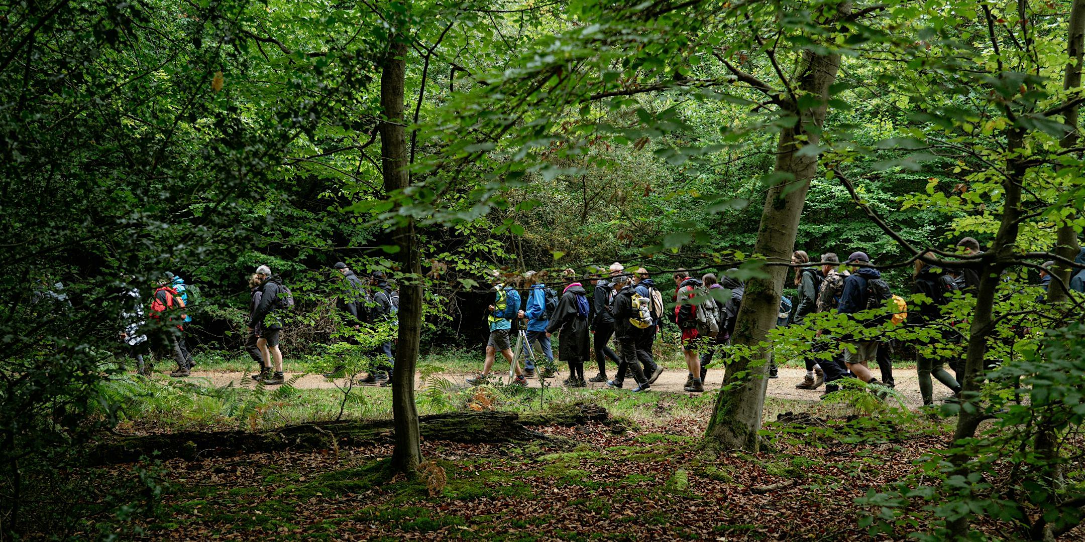 Epping Forest Big Walk 2026