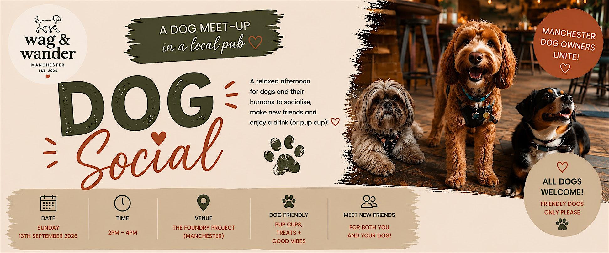 Dog Social
