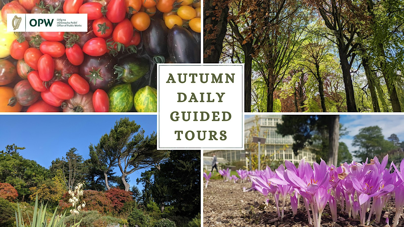 Autumn Daily Guided Tours