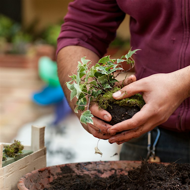 Kokedama Workshop