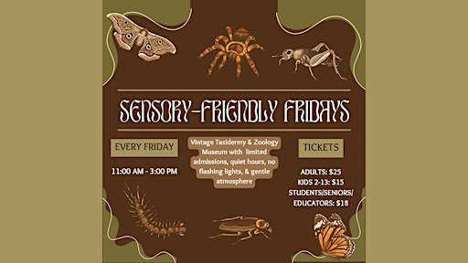 Sensory Friendly Friday