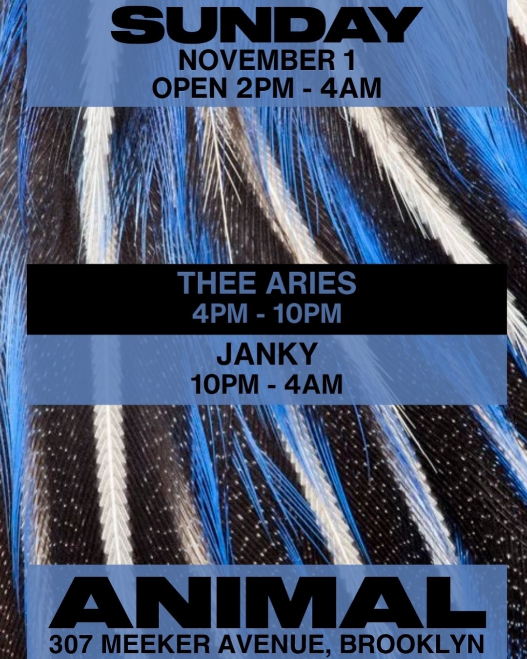 ANIMAL Sunday w/ Thee Aries, Janky