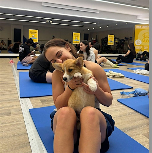 Puppy Yoga Sydney - Chatswood