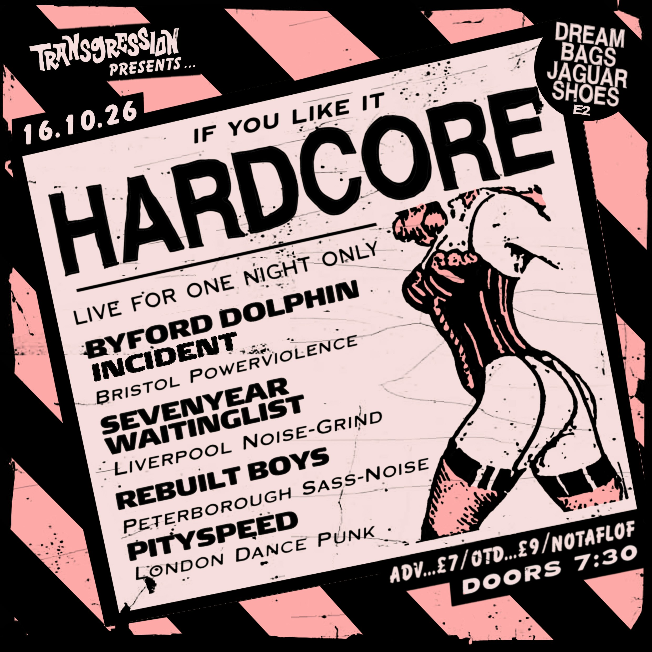 TRANSGRESSION PRESENTS: If You Like It Hardcore 3