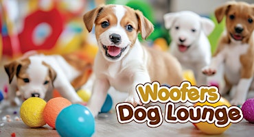 Puppy Play and Learn @ Woofers Dog Lounge (Moorabbin)