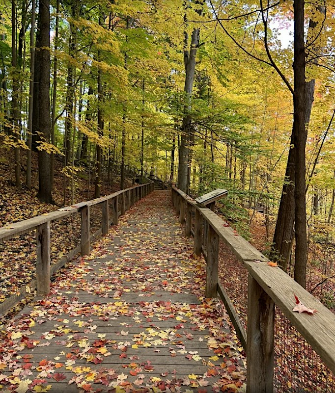 Blythwood Ravine & Sherwood park