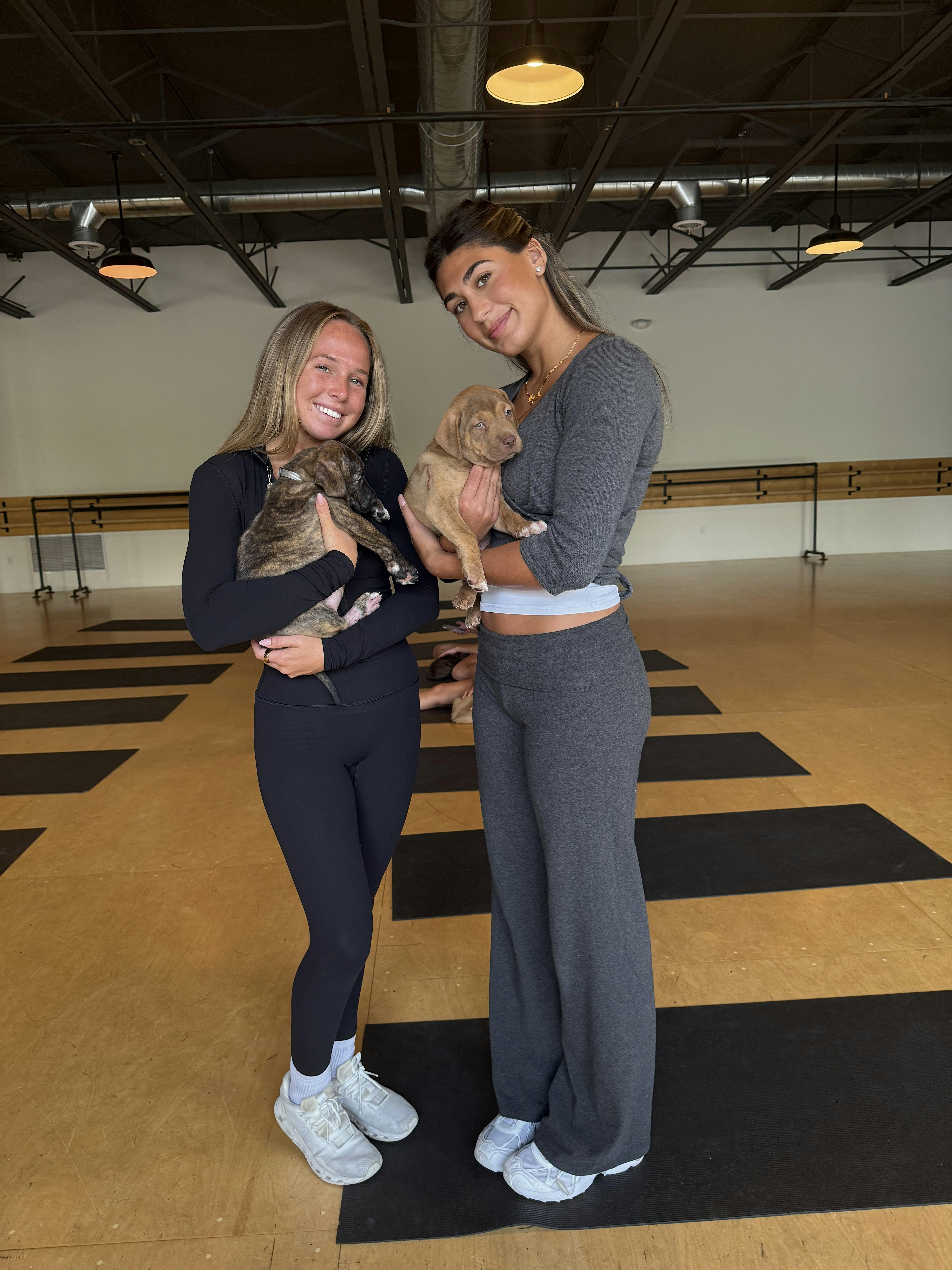 PUPPY YOGA DETROIT