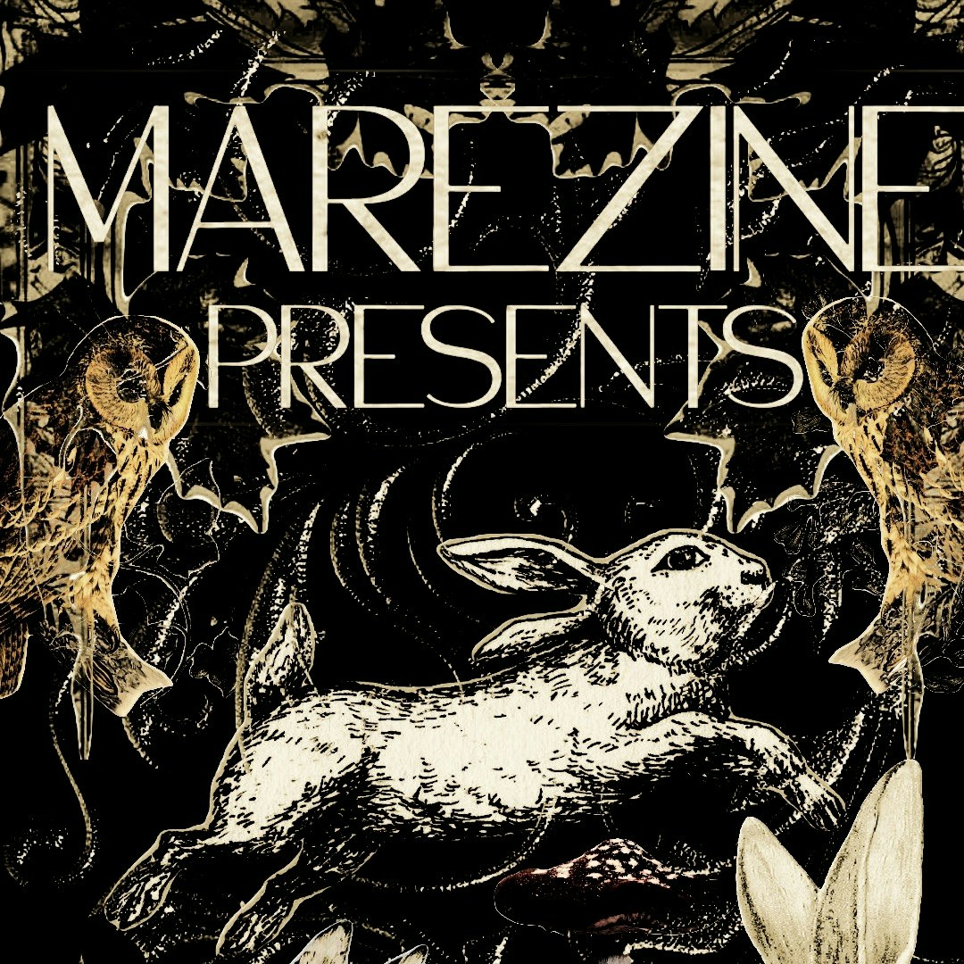 MAREZINE: LOST ALICE, LE LAMB, BITCHCRAFT, POETS