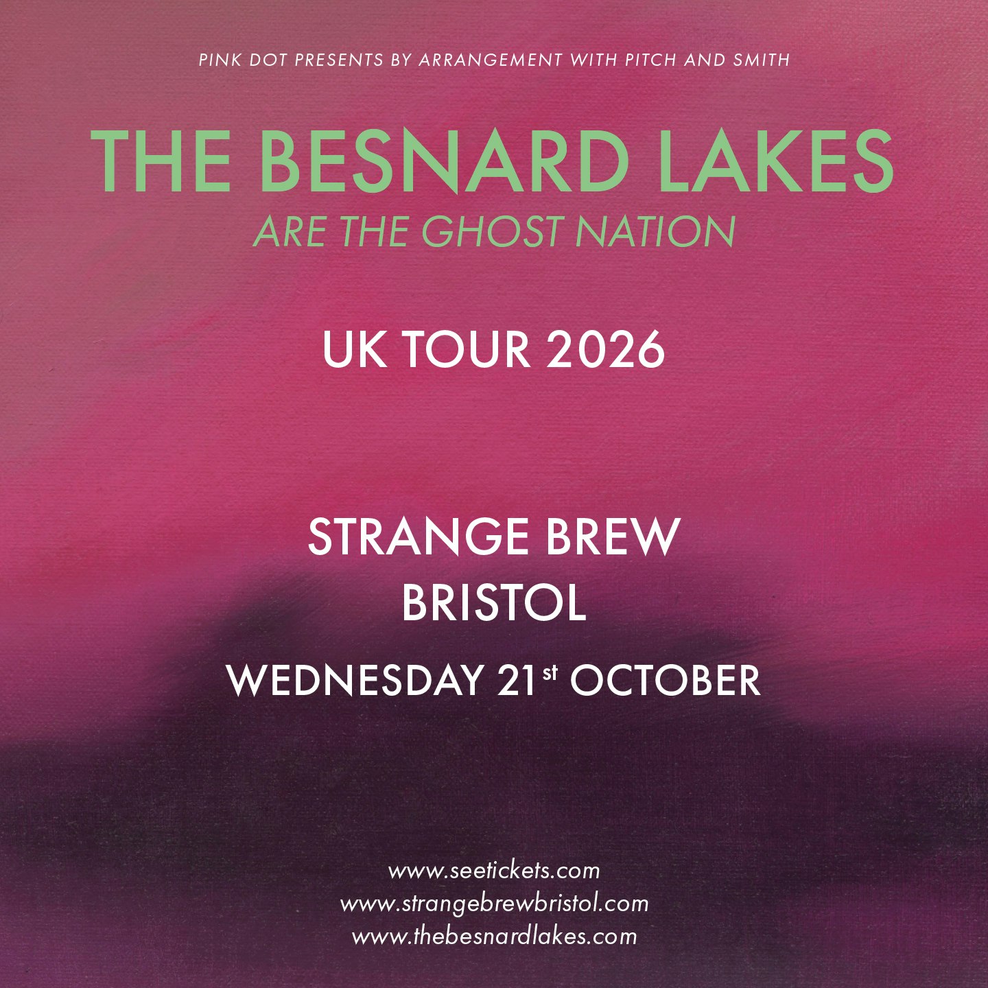 The Besnard Lakes