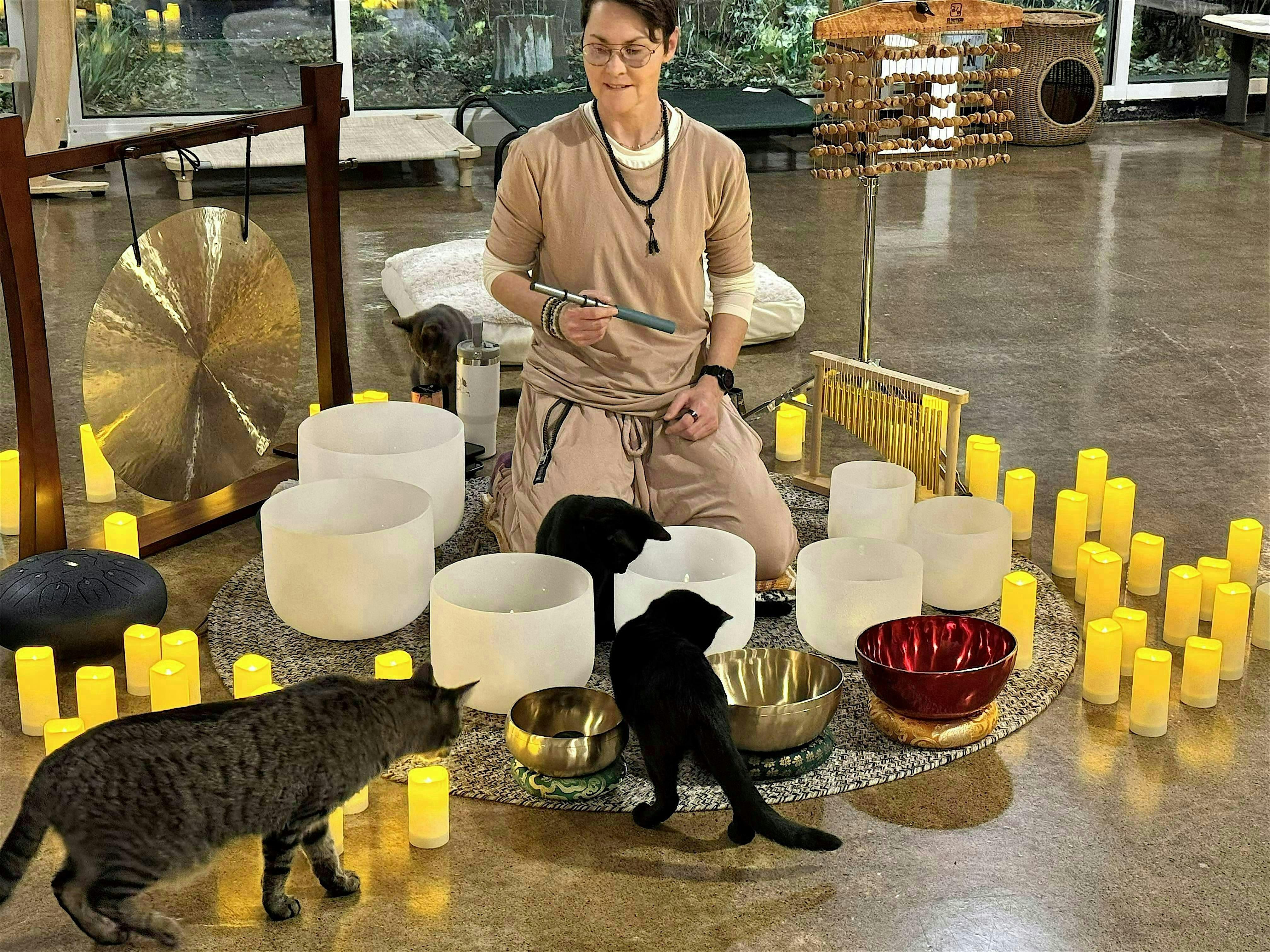 Sacred Sound Bath Journey with Kathryn Watterson to benefit Ferndale Cats