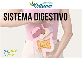 La salud comienza en el sistema digestivo