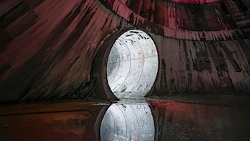The secret life of sewers