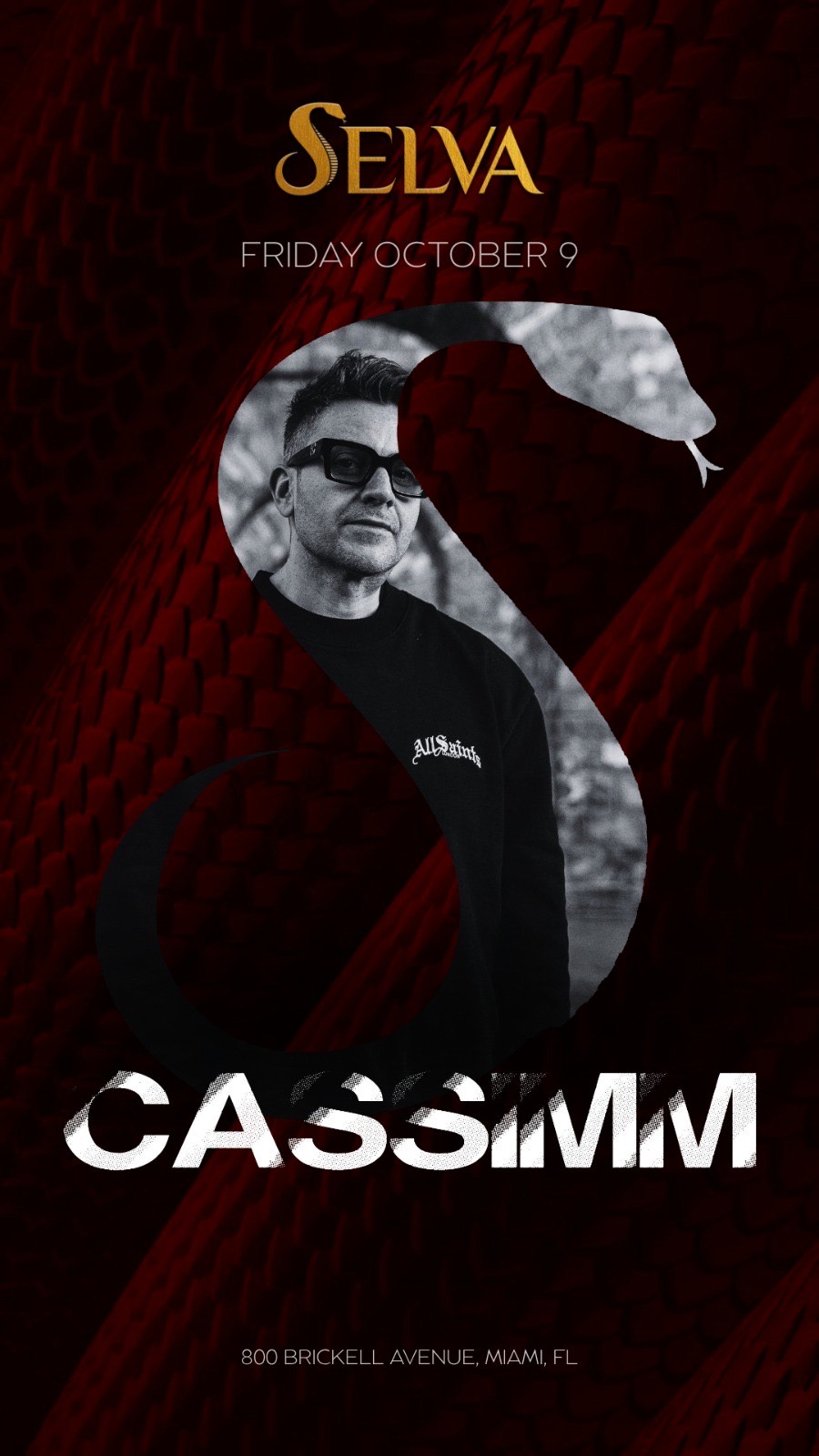 CASSIMM @ Selva