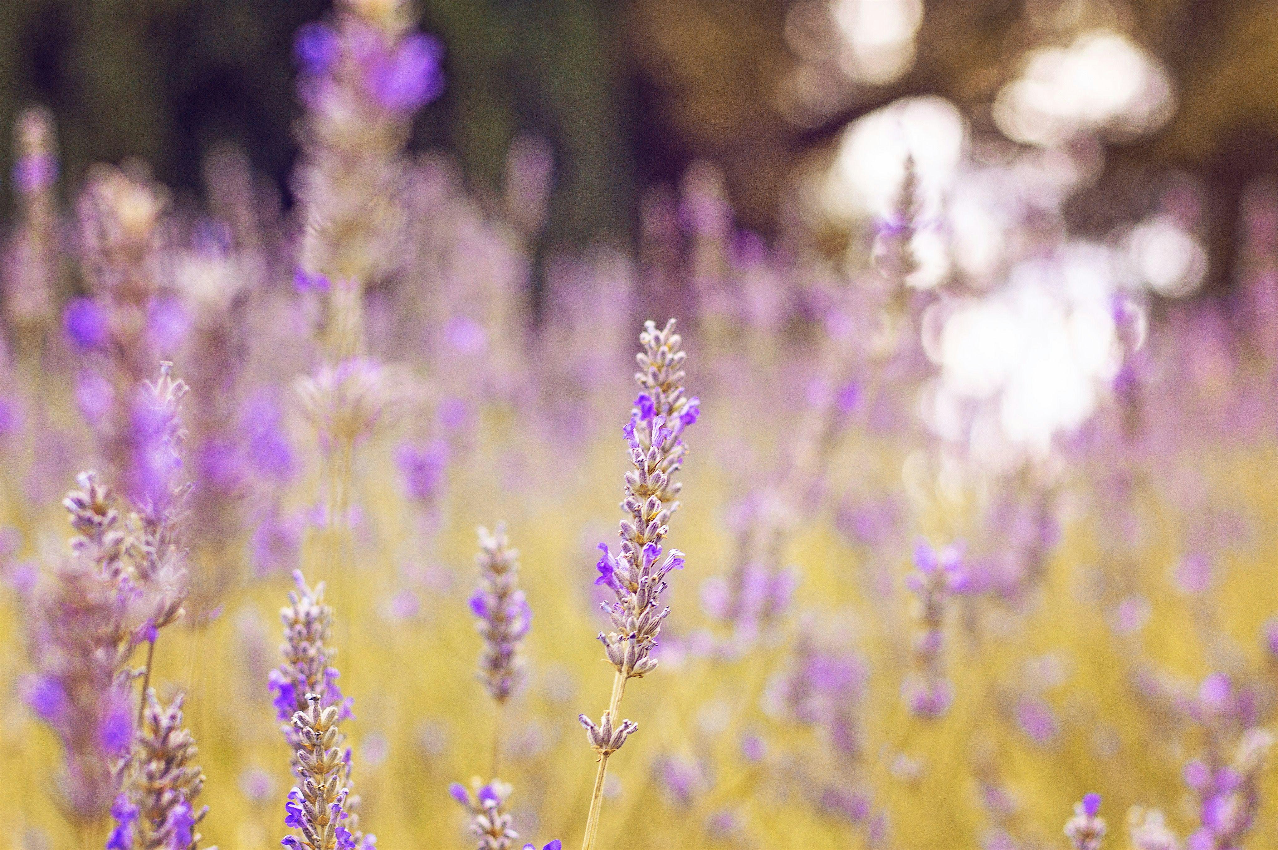 Self Care Night for Women in Business