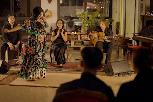 Noche de Flamenco