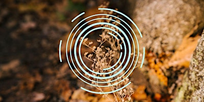 Grounding Sound: Seasonal Sound Baths for Self-Growth