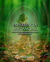 EXPERIENCIA SUSTANCIAL