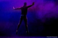 Novembre et Décembre 2026 - Stage de danse classique et contemporaine