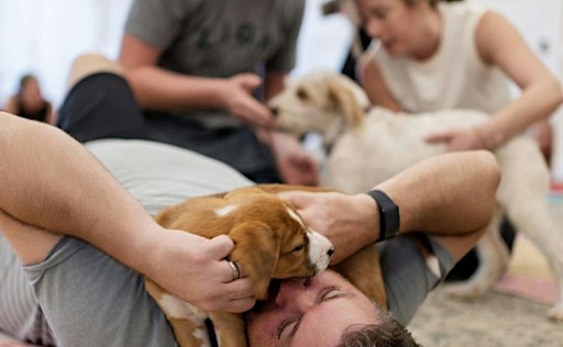 Rescue Puppy Yoga
