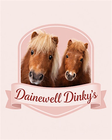 Pony fun Sundays  - A heart warming pony experience.