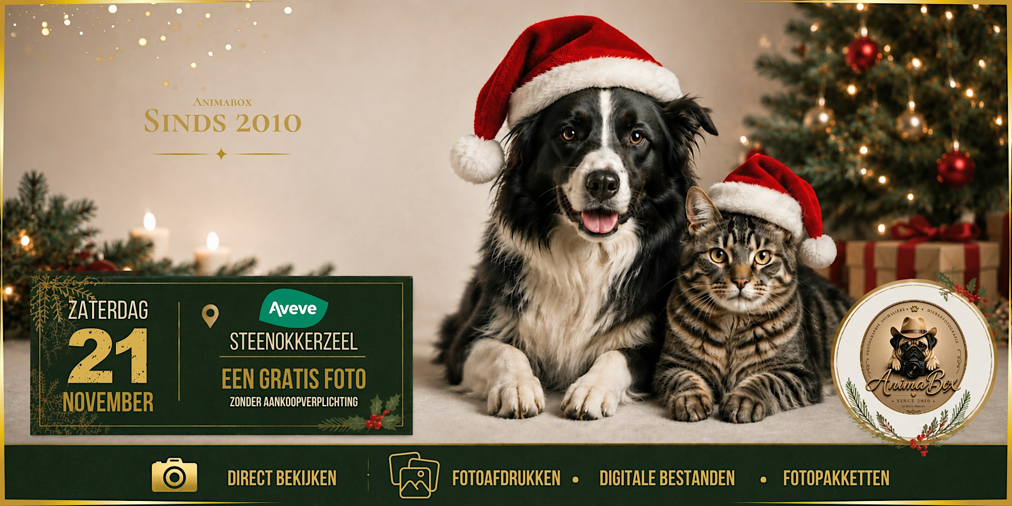 Aveve Steenokkerzeel - AnimaBox fotosessie
