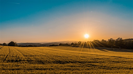 Practical Wisdom for a Renewing Church: An evening with Elaine Heath