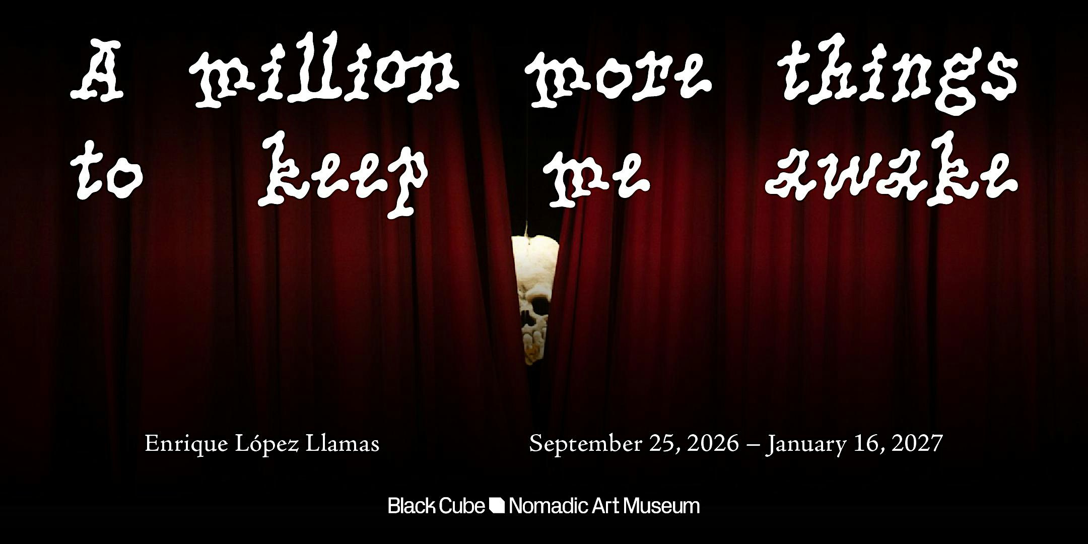 Curatorial Tour: "A million more things to keep me awake"