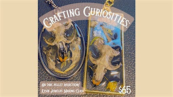 Crafting Curiosities: Owl Pellet Dissection/Jewelry Making Workshop