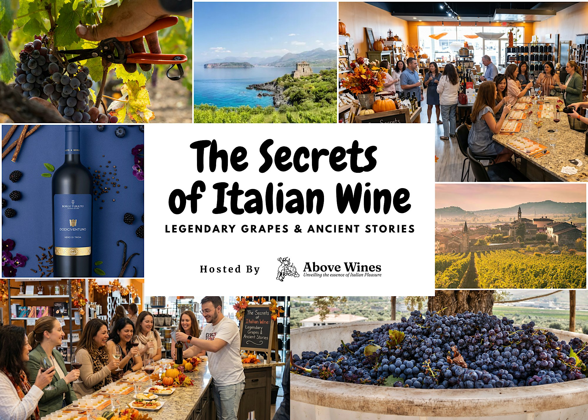 The Secrets of Italian Wine: Legendary Grapes & Ancient Stories