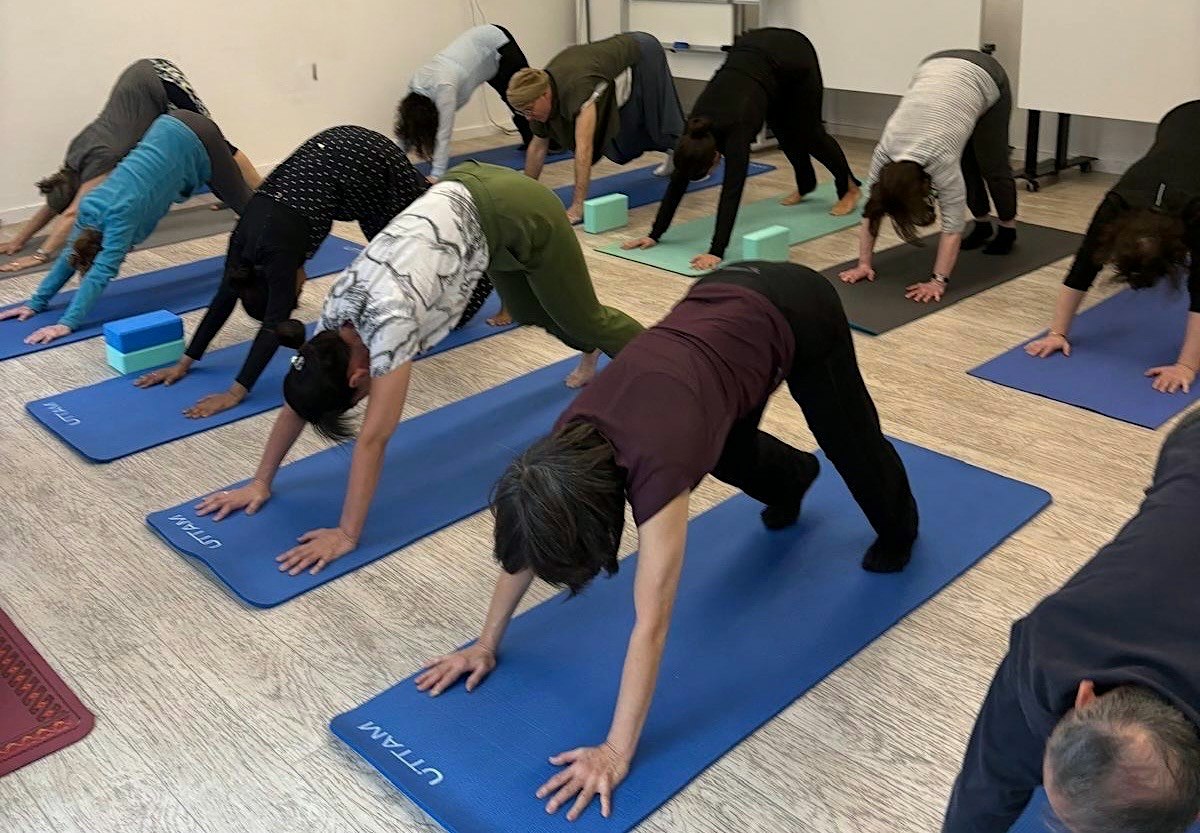 Yoga (Hatha Vinyasa) with Kristina at Brompton Library