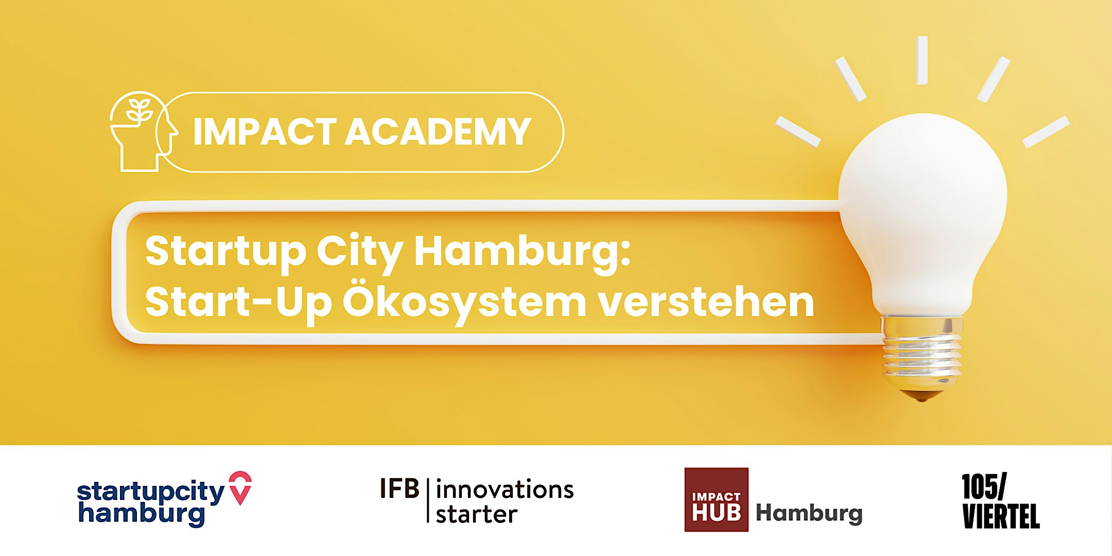 Impact Academy: Startup-Ökosystem verstehen
