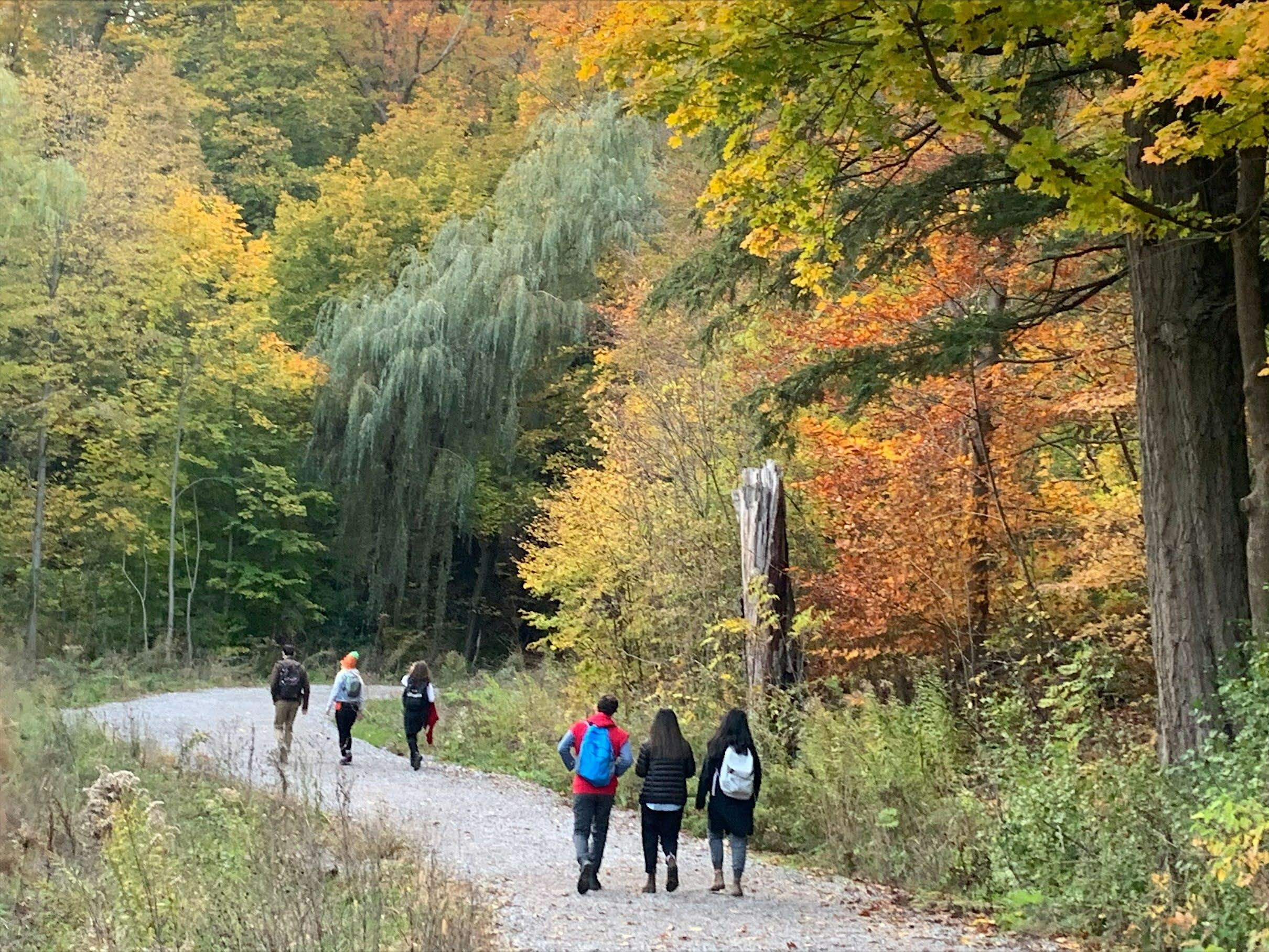 David A. Balfour Park to Evergreen Brick Works