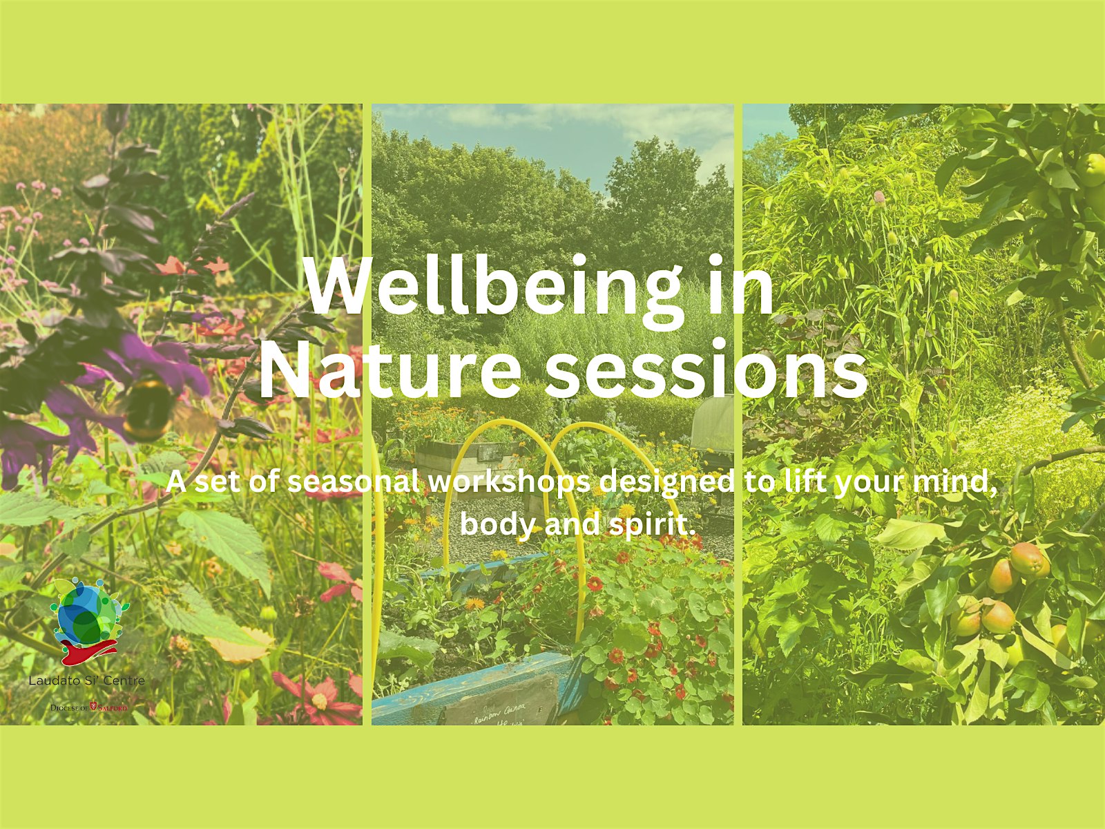 A wellbeing in nature workshop for Autumn