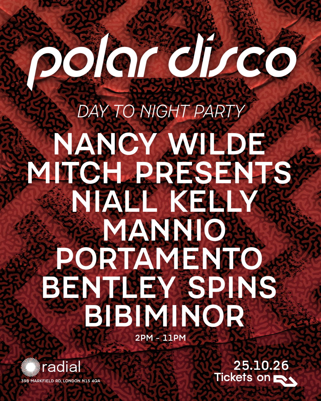 Polar Disco Day to Night Party